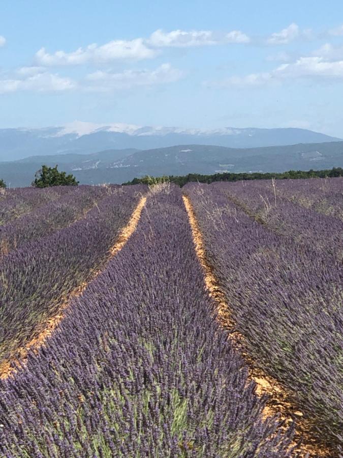 Provence Luberon Bonnieux Location Gite Chez Basile المظهر الخارجي الصورة